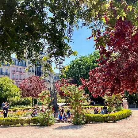 Fantastic View On Notre Dame Abelard Appartamento Parigi