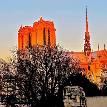 Fantastic View On Notre Dame Abelard * Parigi